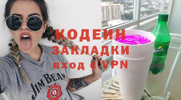 ПСИЛОЦИБИНОВЫЕ ГРИБЫ Богданович